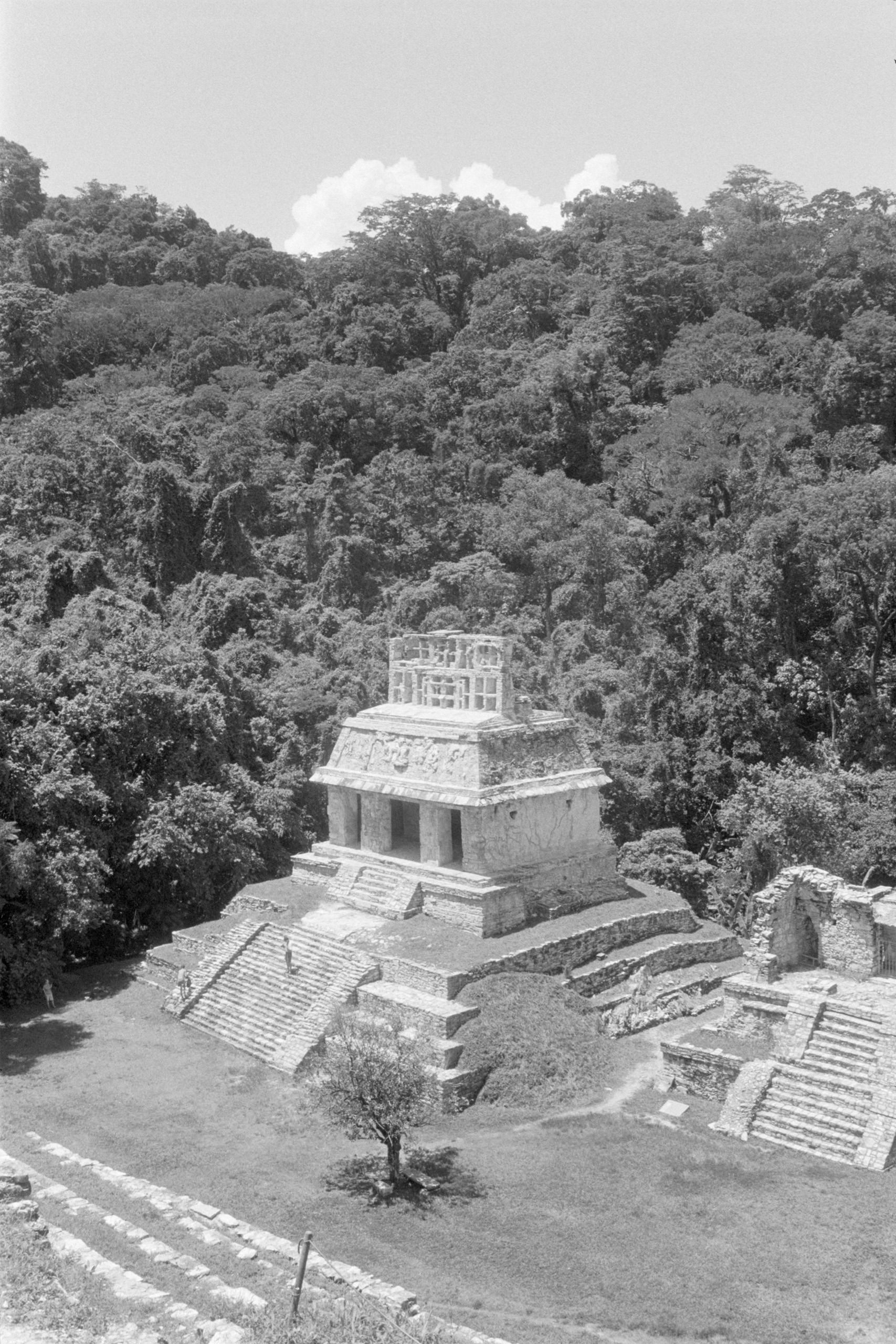 AHP FilmScan 240807 0663